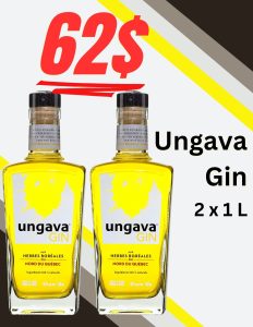 UNGAVA GIN G.P.(2X1L)